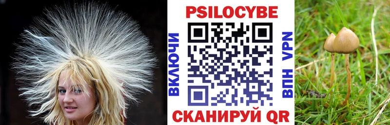 hydra онион  нарко площадка какой сайт  Галлюциногенные грибы Psilocybine cubensis  Искитим 