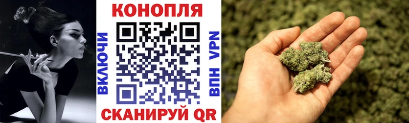 Бошки марихуана конопля  наркошоп  Искитим 